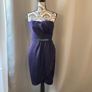 NWT The Limited Strapless Dress